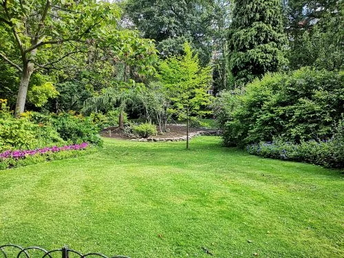 Gepflegter Hausgarten mit frisch gemähtem Rasen in Mainaschaff