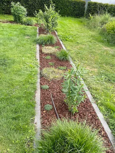 Gartenpflege Projekt 1